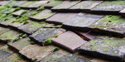 Brockton roof repair costs
